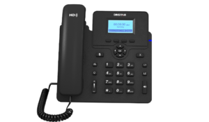 C60S Entry Level IP Phone