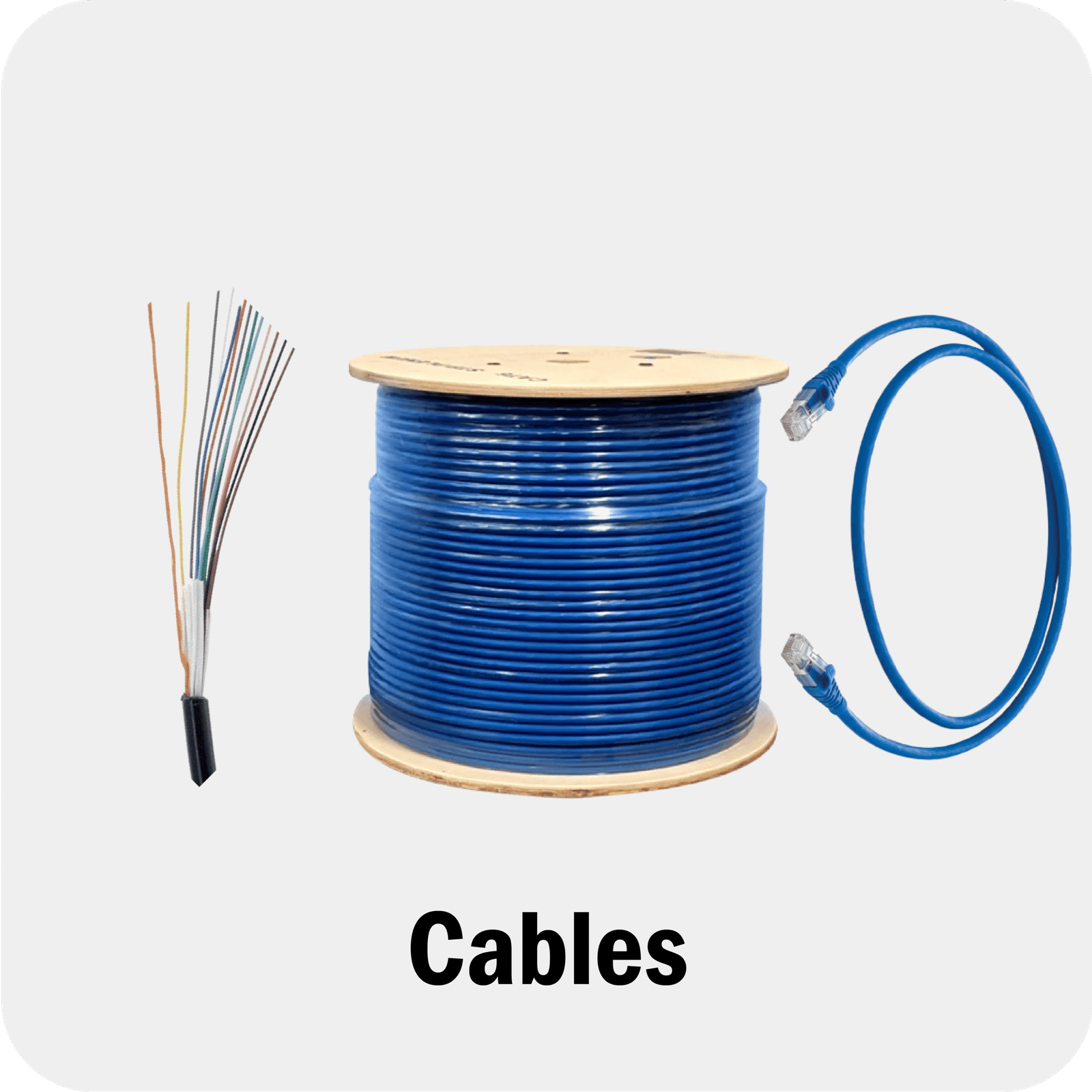 Universal Category 05 scaled