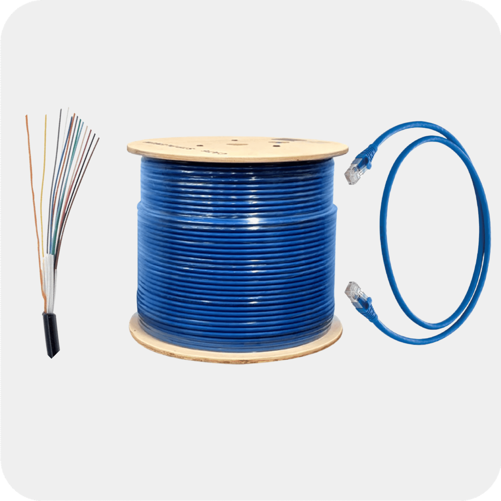 Universal Category 06 scaled