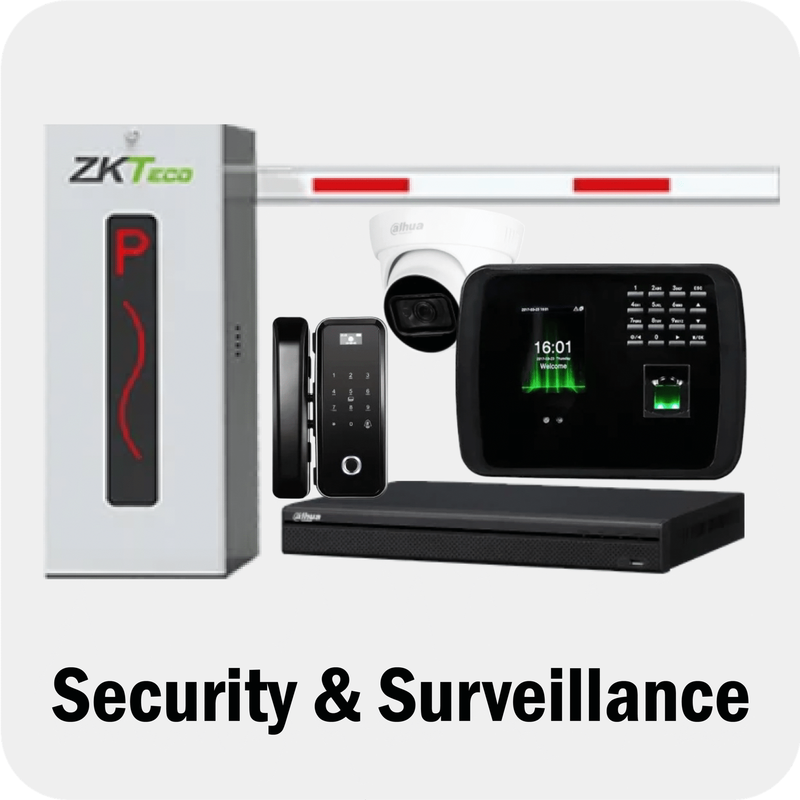 Universal Category 13 scaled