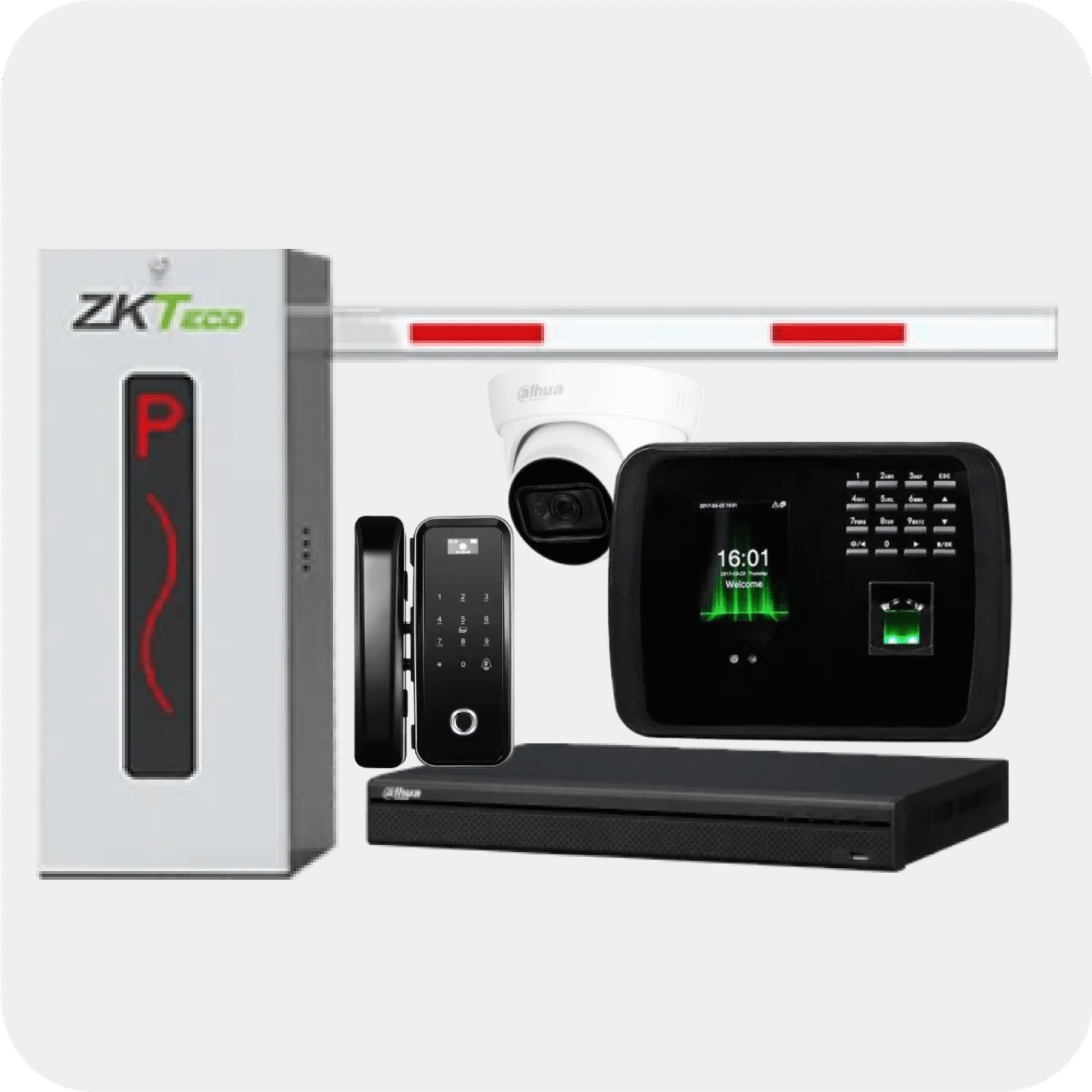 Universal Category 14 scaled